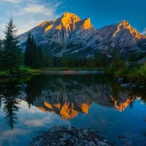 Meet your Posher, Ariunaa